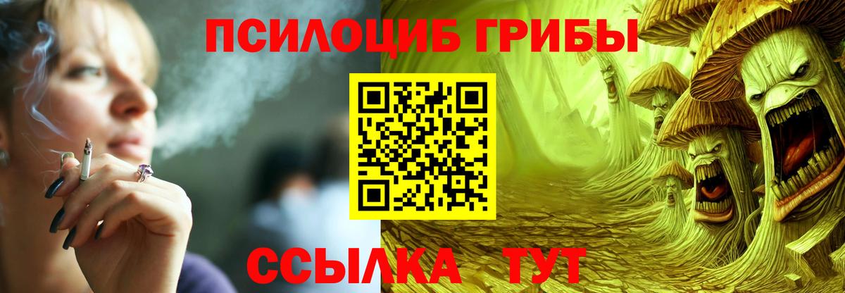 Красногорск  Галлюциногенные грибы мицелий  купить закладку  Галлюциногенные грибы Psilocybine cubensis  Вход с VPN 